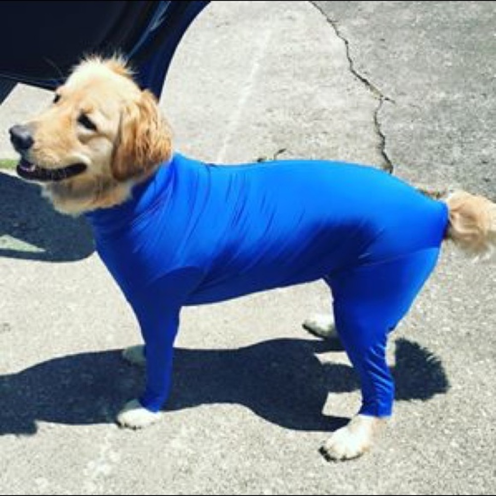 Meet your Posher, Shy